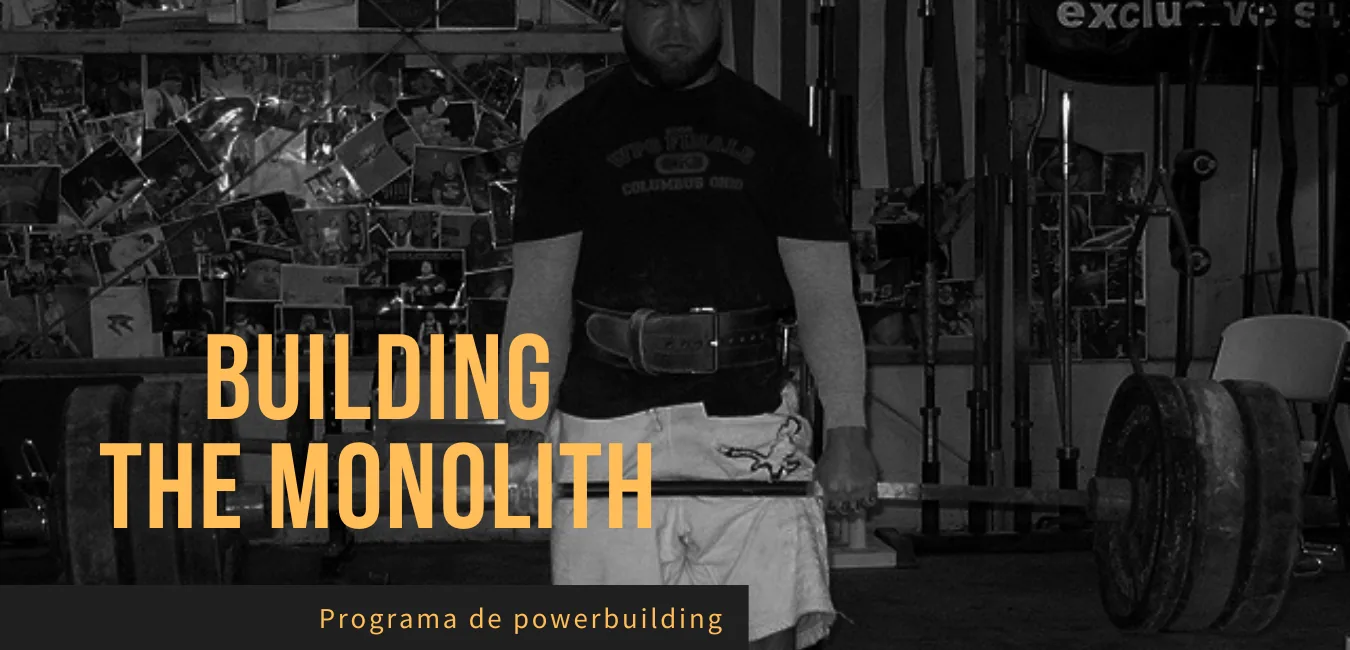 Programa Building The Monolith
