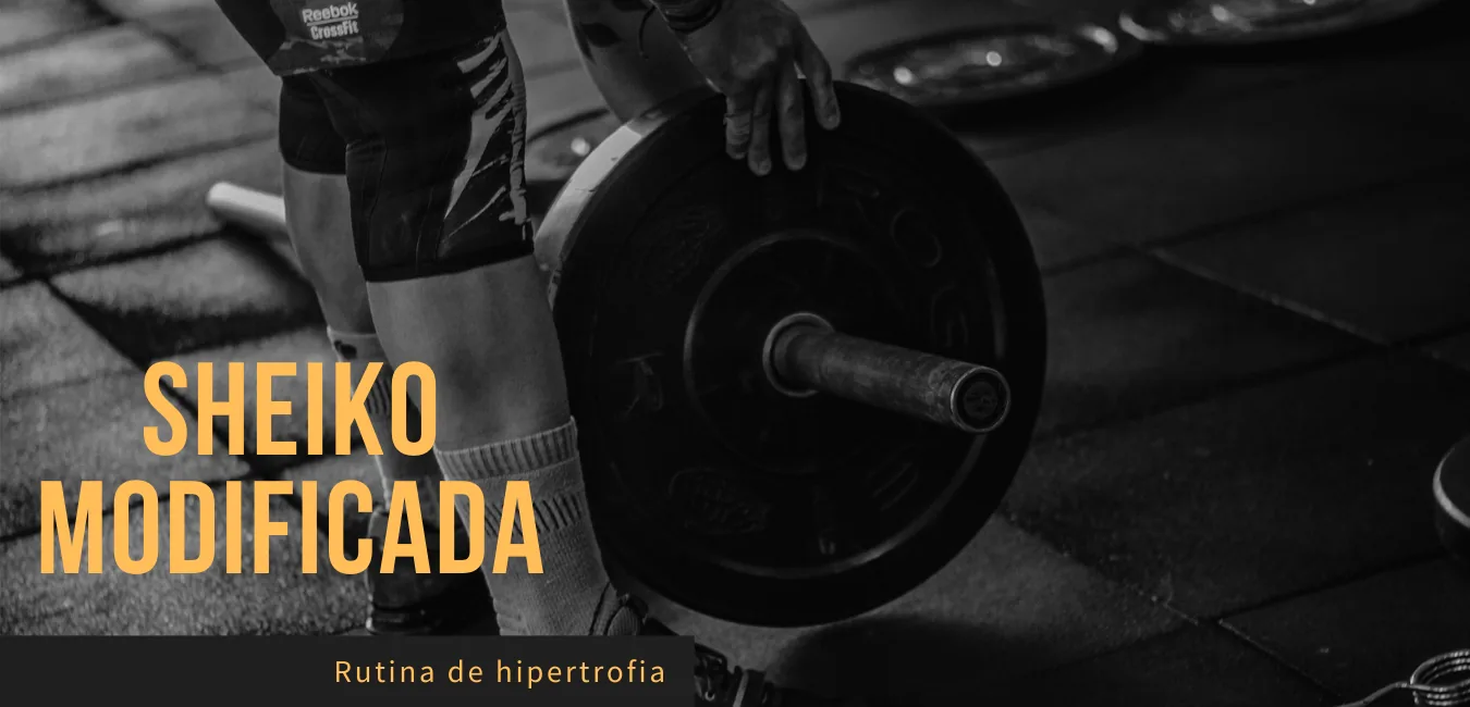 Rutina Sheiko Hipertrofia