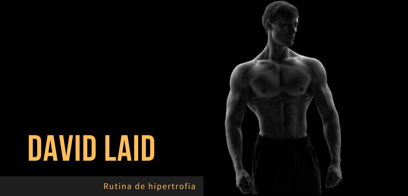 Rutina David Laid