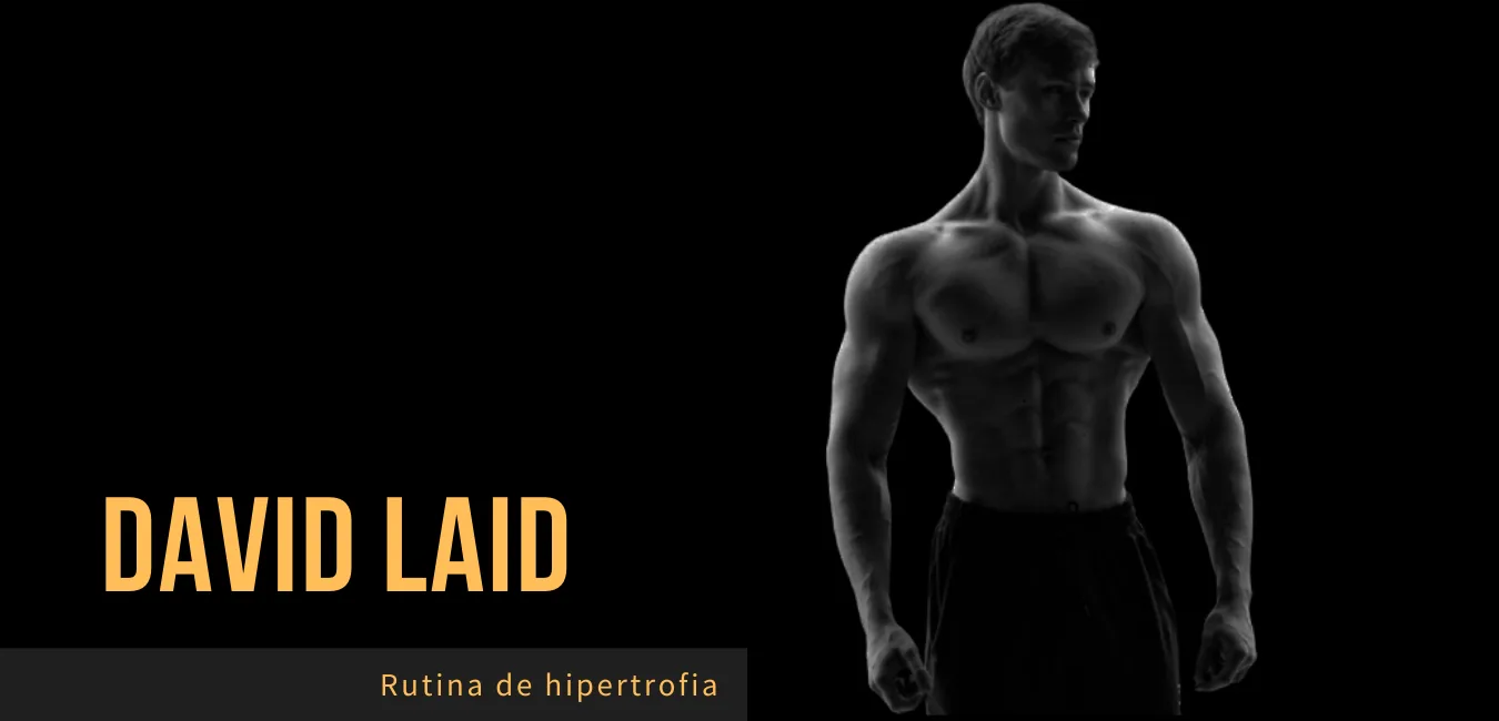 Rutina David Laid