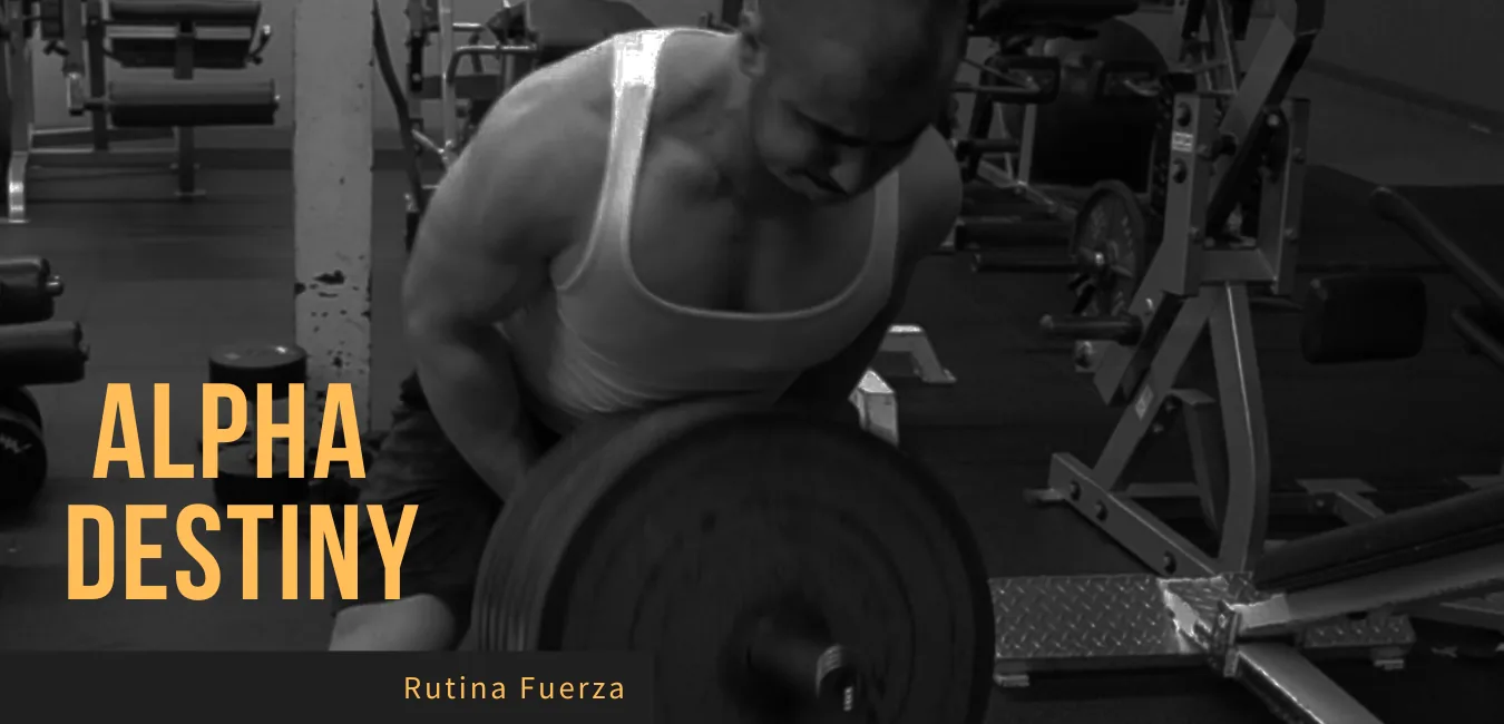 Programa Alpha Destiny